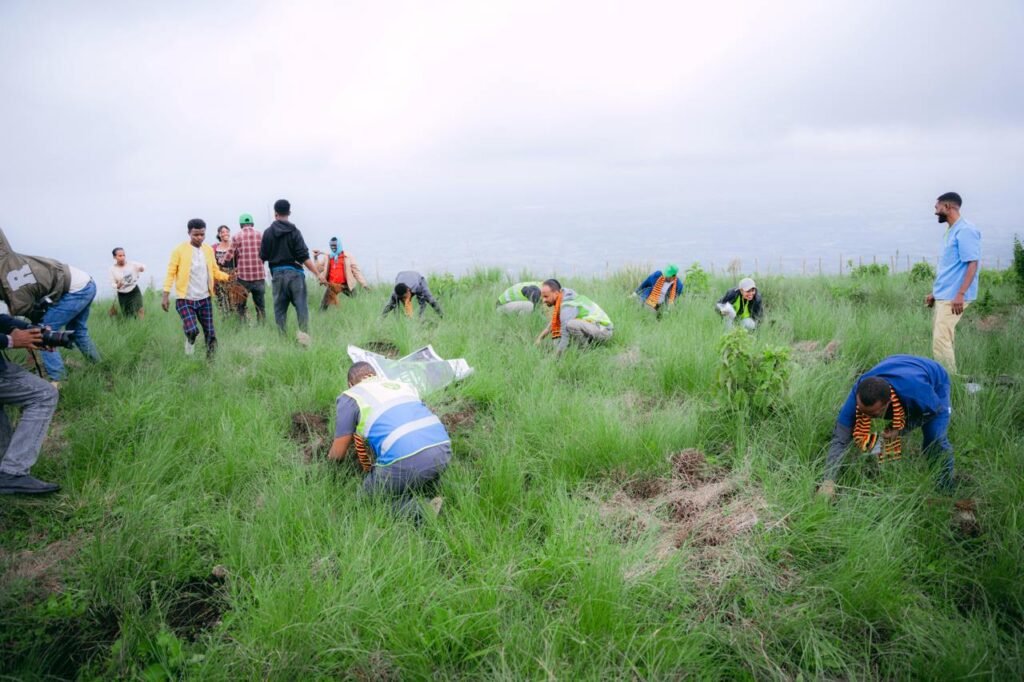 WhatsApp Image 2026-01-08 at 21.51.36 (8)